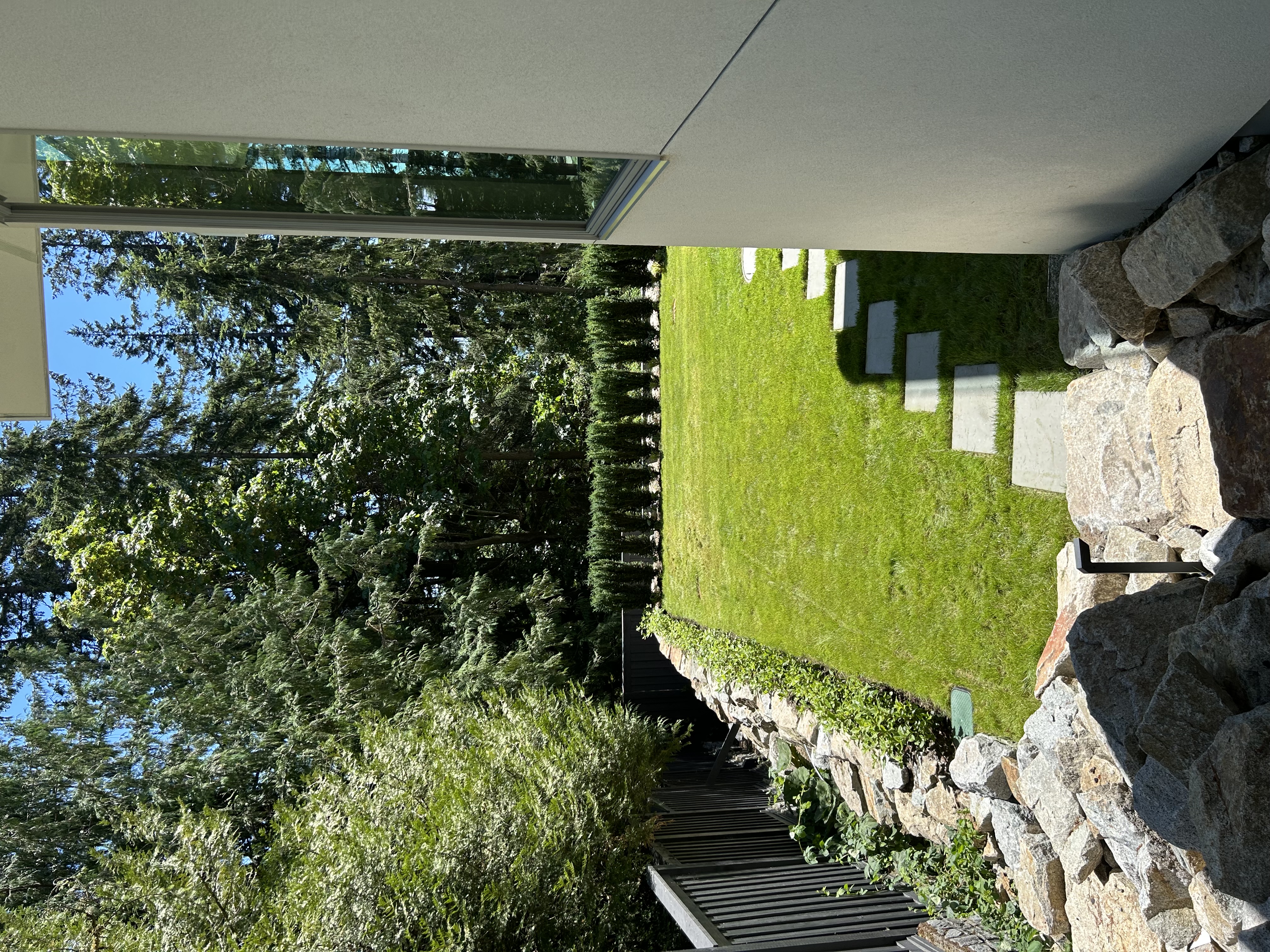 Backyard lawn renovation with stepping-stone paver path in Metro Vancouver