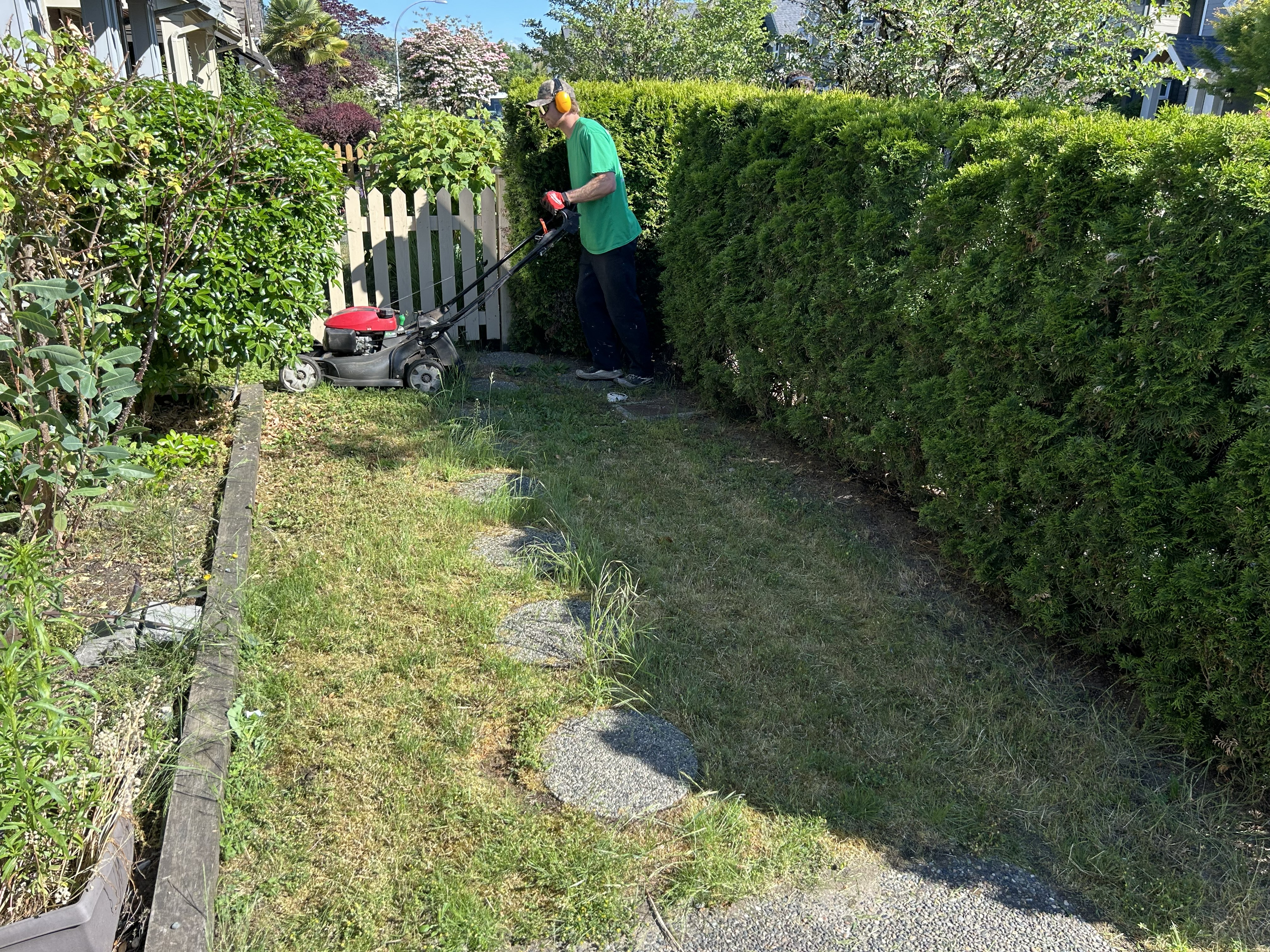 Seasonal Cleanup in Metro Vancouver, BC